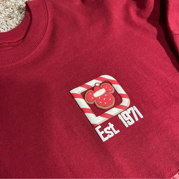 Walt Disney World Spell out Christmas Spirit Jersey - Picture 5 of 5